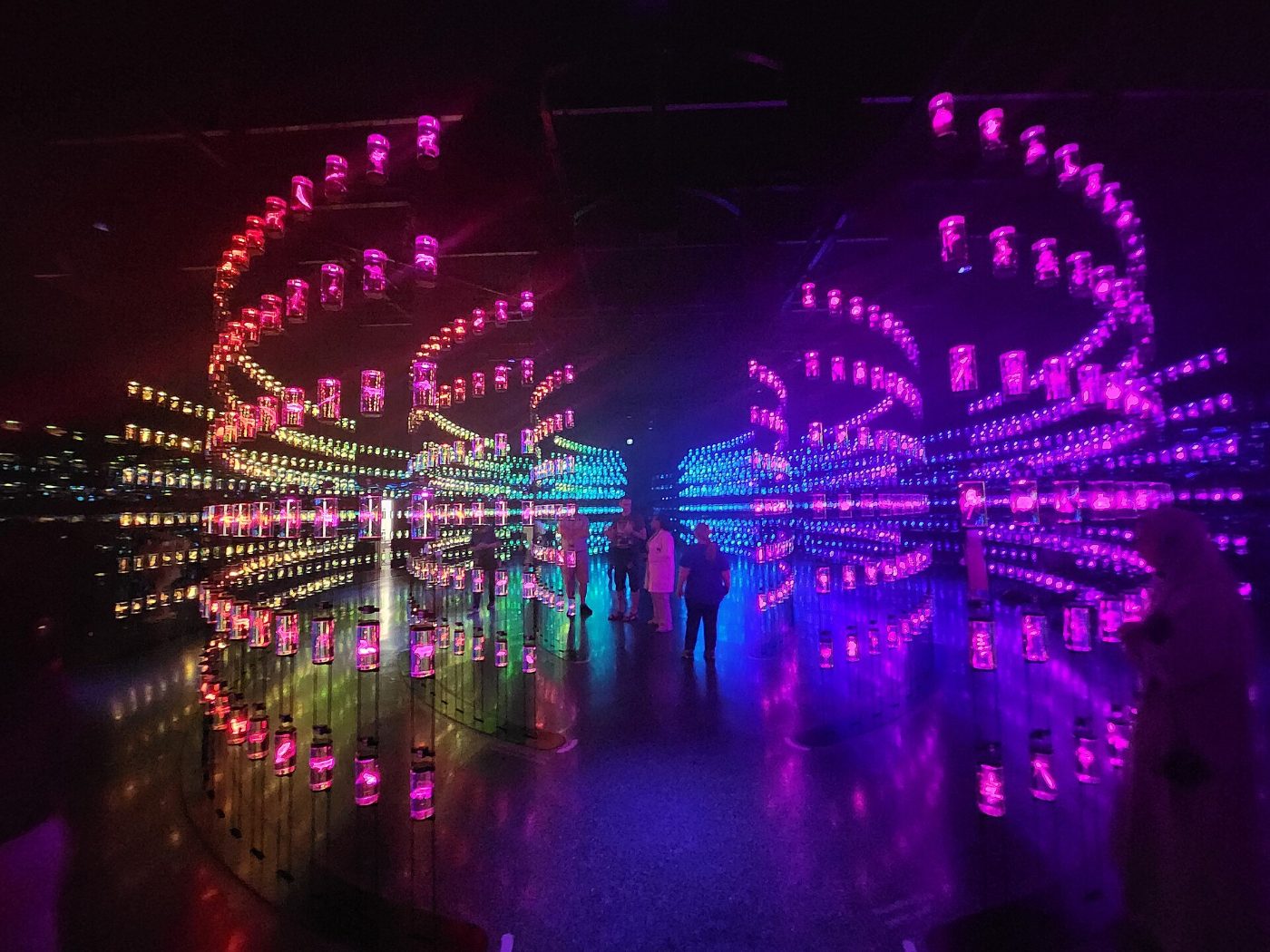 The Vault of Life DNA library inside the HEAL Institute floor